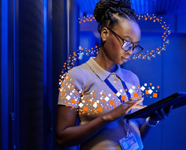 Business & Decision becomes Orange  Business